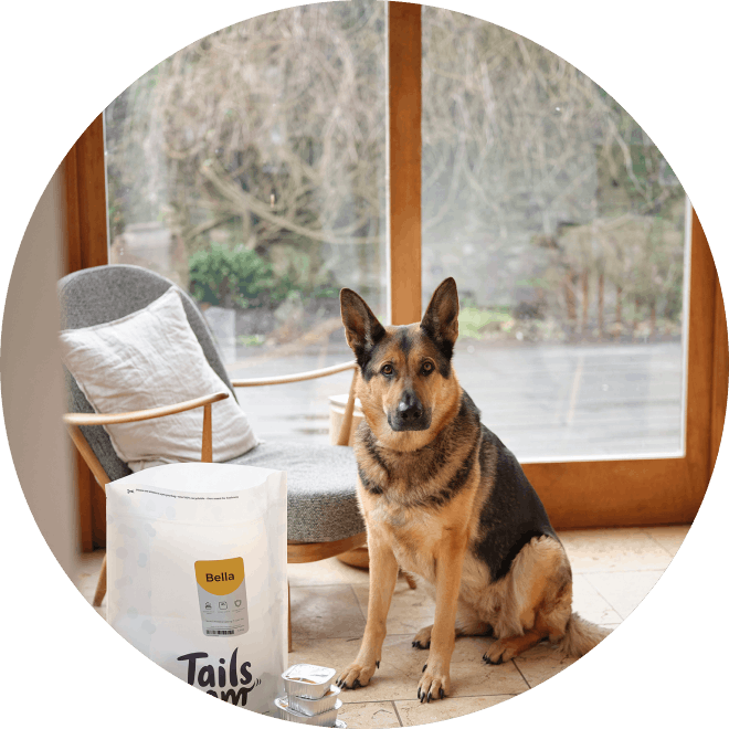 Tails grain free new arrivals